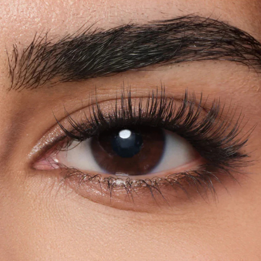 Veylore's Magnetic Eyelashes